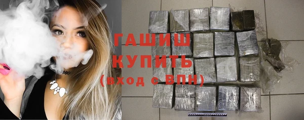 сатива Алзамай