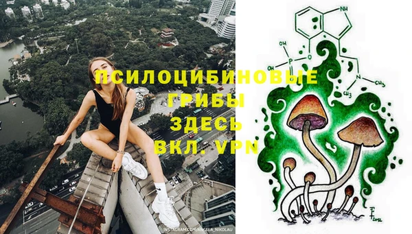 дмт Алексеевка