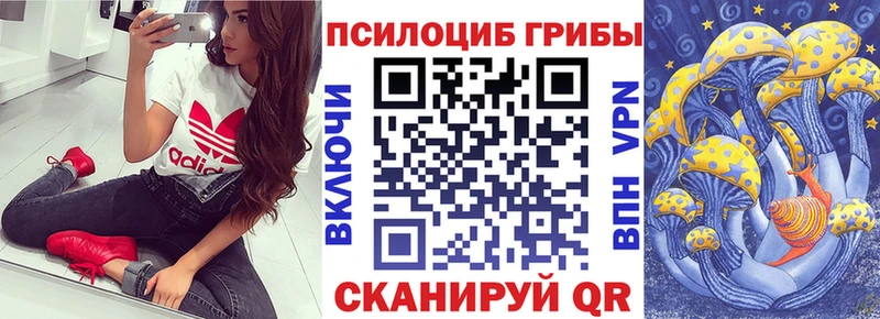 Псилоцибиновые грибы мухоморы  Переславль-Залесский 