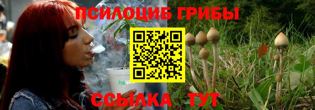 Переславль-Залесский  где можно купить   Вход с VPN  Псилоцибиновые грибы Cubensis  Псилоцибиновые грибы MAGIC MUSHROOMS 
