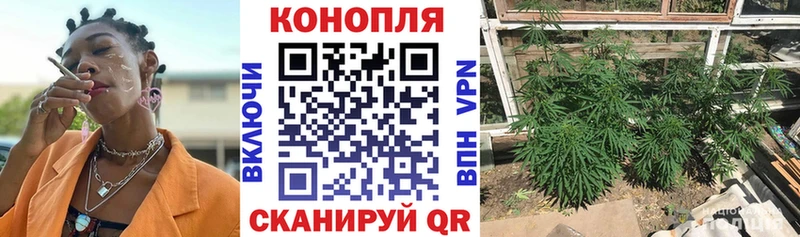 где купить наркоту  Переславль-Залесский  Шишки марихуана Amnesia 